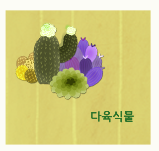 다육식물